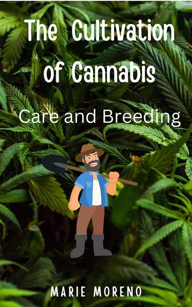 Produktbild: The Cultivation of Cannabis Care and Breeding