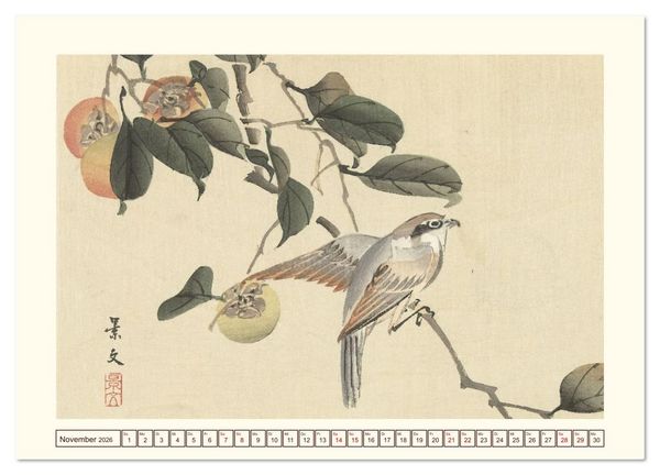 Produktbild: Bl&uuml;te und Feder (Wandkalender 2026 DIN A2 quer), CALVENDO Monatskalender