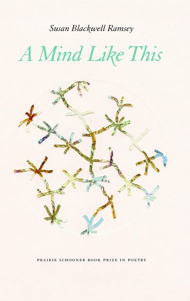 Produktbild: A Mind Like This