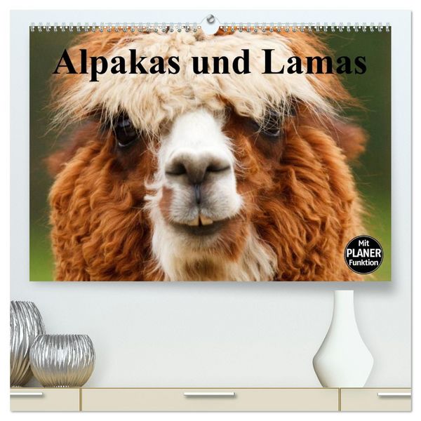 Produktbild: Alpakas und Lamas (hochwertiger Premium Wandkalender 2026 DIN A2 quer), Kunstdruck in Hochglanz