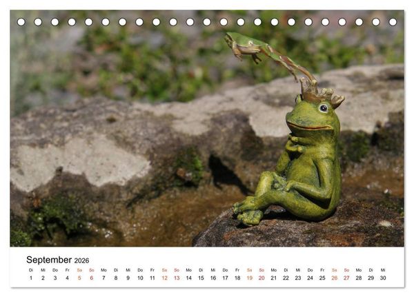 Produktbild: Besucher im Garten - Laubfr&ouml;sche (Tischkalender 2026 DIN A5 quer), CALVENDO Monatskalender