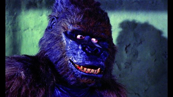 Produktbild: Konga