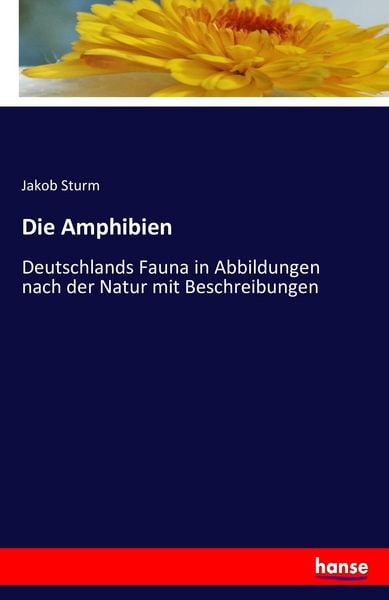 Die Amphibien, Taschenbuch von Jakob Sturm, Hansebooks, 9783742835666