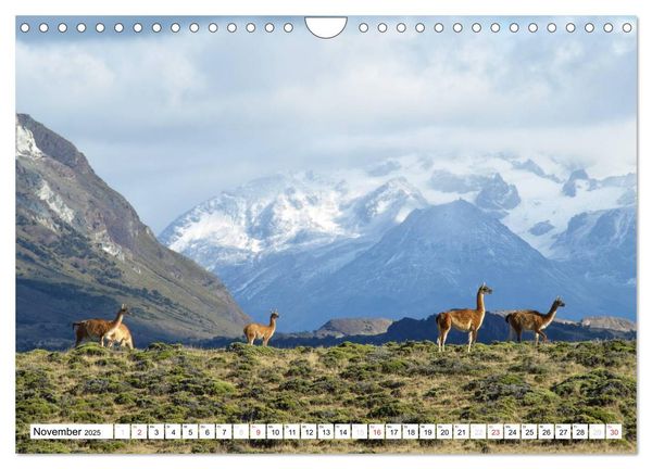 Zeit zum Träumen - Panamericana 2025 (Wandkalender 2025 DIN A4 quer), CALVENDO Monatskalender