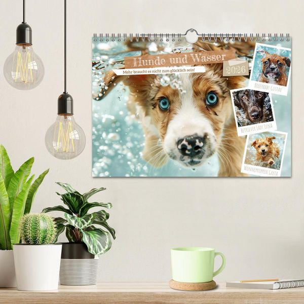 Produktbild: Hunde und Wasser (Wandkalender 2026 DIN A4 quer), CALVENDO Monatskalender