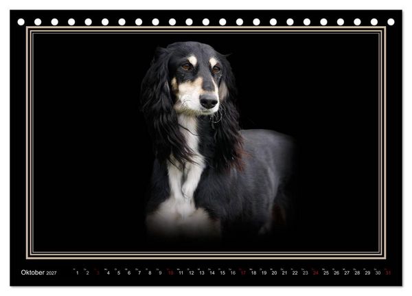 Produktbild: Saluki 2027 (Tischkalender 2027 DIN A5 quer), CALVENDO Monatskalender