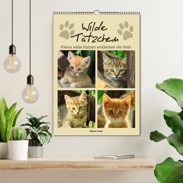 Produktbild: Wilde T&auml;tzchen, kleine wilde Katzen entdecken die Welt (Wandkalender 2026 DIN A2 hoch), CALVENDO Monatskalender