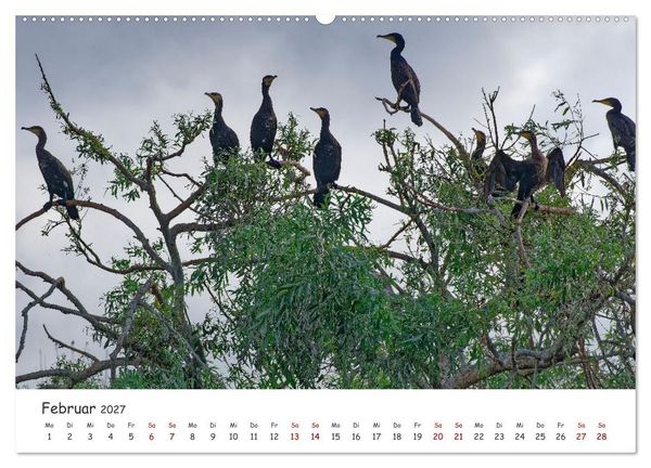 Produktbild: Donau-Delta (hochwertiger Premium Wandkalender 2027 DIN A2 quer), Kunstdruck in Hochglanz