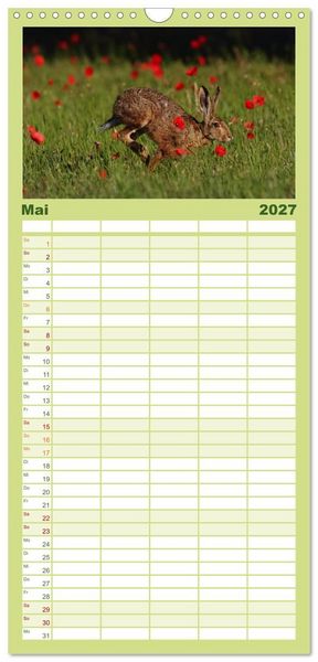 Produktbild: Familienplaner 2027 - Feldhasen in H&ouml;chstform mit 5 Spalten (Wandkalender, 21 x 45 cm) CALVENDO