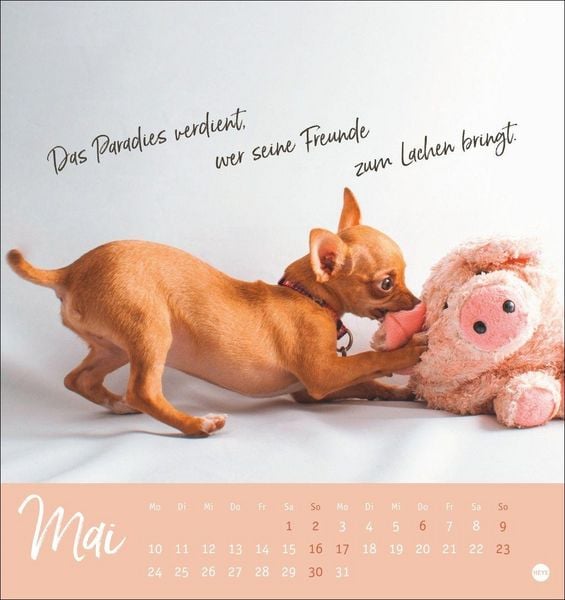 Produktbild: Ziemlich beste Freunde Postkartenkalender 2027 - F&uuml;r immer dein
