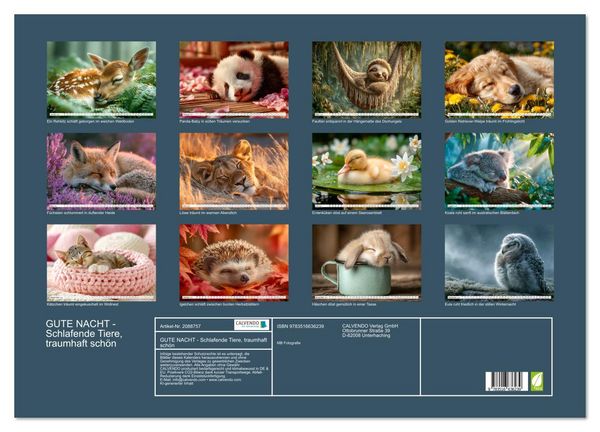 Produktbild: GUTE NACHT - Schlafende Tiere, traumhaft sch&ouml;n (Wandkalender 2026 DIN A2 quer), CALVENDO Monatskalender