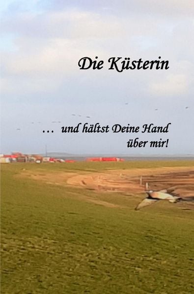 Produktbild: Die K&uuml;sterin...
