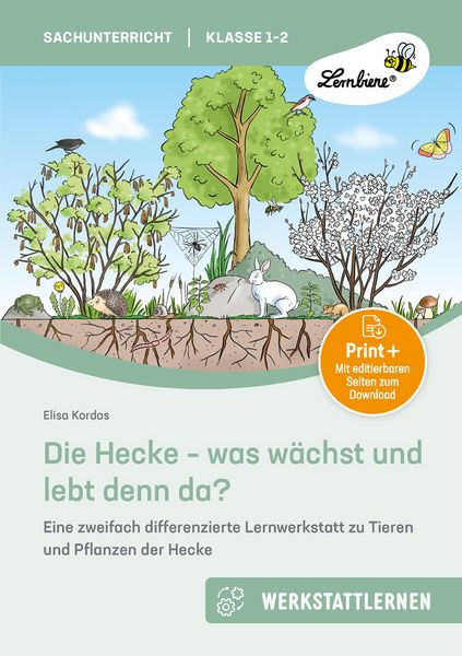 Produktbild: Die Hecke - was w&auml;chst und lebt denn da