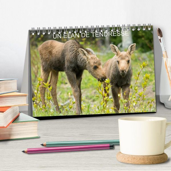 Produktbild: Un &eacute;lan de tendresse (Calendrier de bureau 2026 DIN A5 vertical), CALVENDO calendrier mensuel