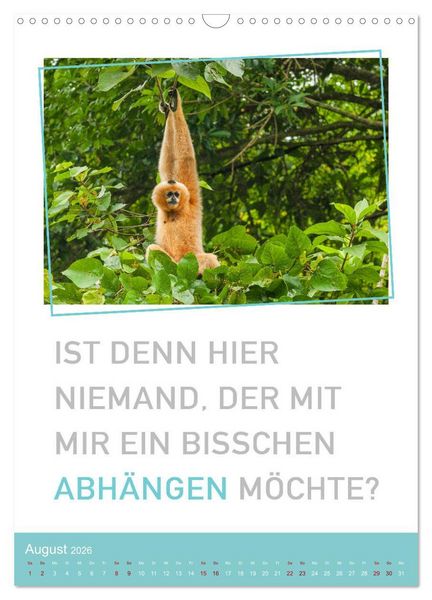 Produktbild: Tierisch bekloppt! (Wandkalender 2026 DIN A3 hoch), CALVENDO Monatskalender