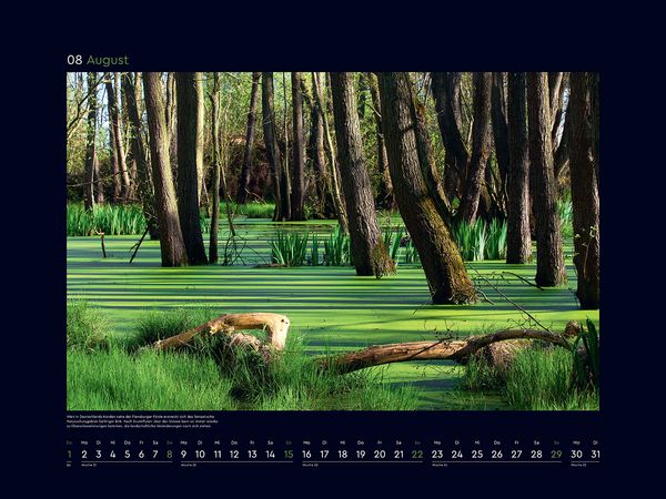 Produktbild: Wildnis Deutschland - KUNTH Wandkalender 2027