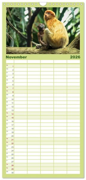 Produktbild: Familienplaner 2026 - Affen - Affenkinder mit 5 Spalten (Wandkalender, 21 x 45 cm) CALVENDO