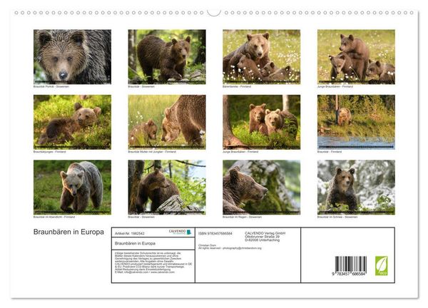 Produktbild: Braunb&auml;ren in Europa (hochwertiger Premium Wandkalender 2026 DIN A2 quer), Kunstdruck in Hochglanz