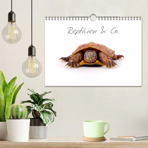 Produktbild: Reptilien & Co. (Wandkalender 2026 DIN A4 quer), CALVENDO Monatskalender