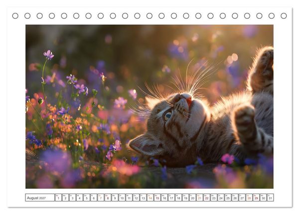 Produktbild: Miau macht gl&uuml;cklich (Tischkalender 2027 DIN A5 quer), CALVENDO Monatskalender
