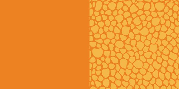 88 x Origami Kids – Dino Fun