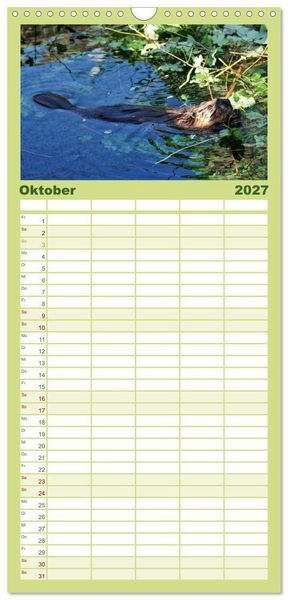 Produktbild: Familienplaner 2027 - Das Leben der Biber mit 5 Spalten (Wandkalender, 21 x 45 cm) CALVENDO