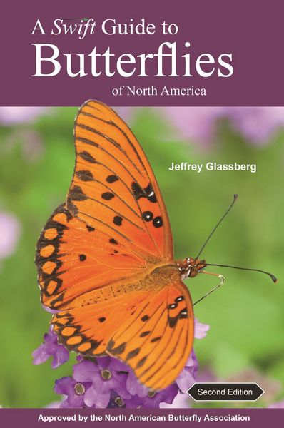 Produktbild: A Swift Guide to Butterflies of North America