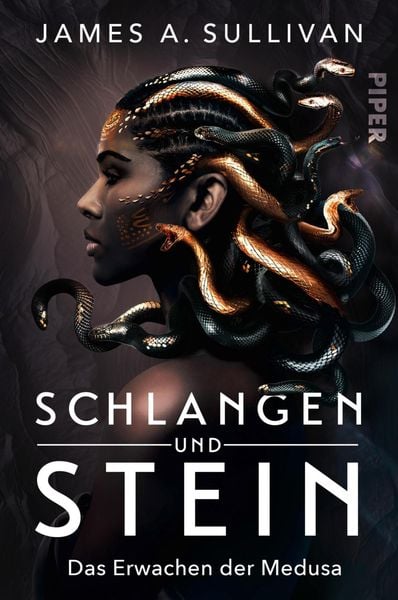 Produktbild: Schlangen und Stein