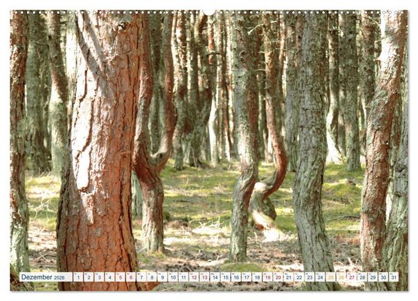 Produktbild: Kurische Nehrung: am l&auml;ngsten Ostsee-Strand (hochwertiger Premium Wandkalender 2026 DIN A2 quer), Kunstdruck in Hochglanz