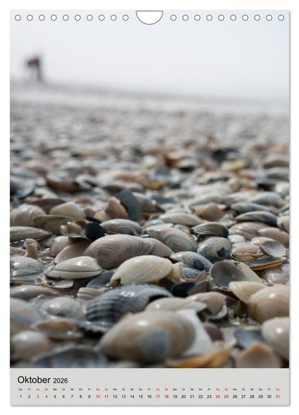 Produktbild: Ameland Wundersch&ouml;ne Insel (Wandkalender 2026 DIN A4 hoch), CALVENDO Monatskalender