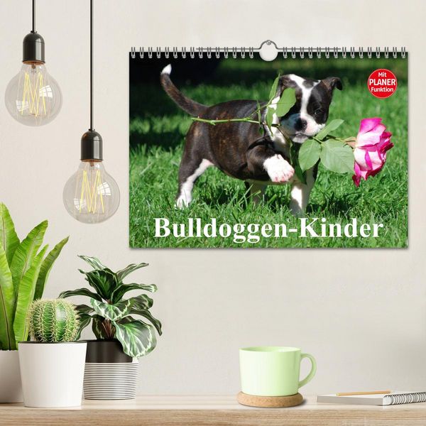 Produktbild: Bulldoggen-Kinder (Wandkalender 2026 DIN A4 quer), CALVENDO Monatskalender