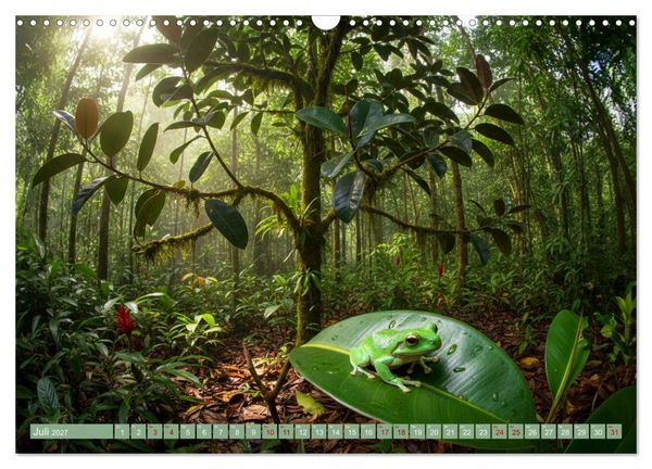 Produktbild: Zimmerpflanzen auf Heimaturlaub (Wandkalender 2027 DIN A3 quer), CALVENDO Monatskalender