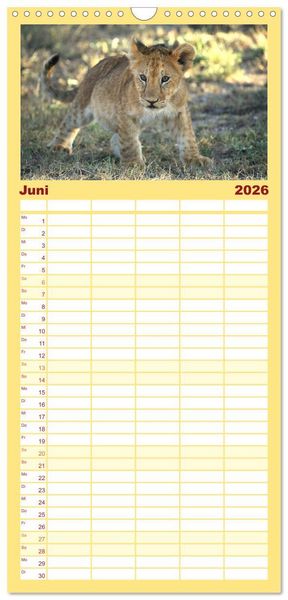 Produktbild: Familienplaner 2026 - Wildes Kinderzimmer - Tierkinder in Afrika mit 5 Spalten (Wandkalender, 21 x 45 cm) CALVENDO