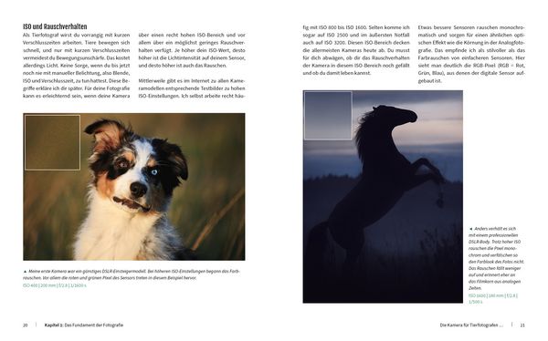 Produktbild: Haustiere perfekt fotografieren