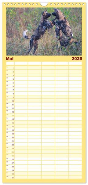 Produktbild: Familienplaner 2026 - S&uuml;dafrika - Big 5 und mehr mit 5 Spalten (Wandkalender, 21 x 45 cm) CALVENDO