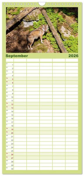 Produktbild: Familienplaner 2026 - Zauber des B&ouml;hmerwalds. Stille Sch&ouml;nheit im Westen Tschechiens mit 5 Spalten (Wandkalender, 21 x 45 cm) CALVENDO