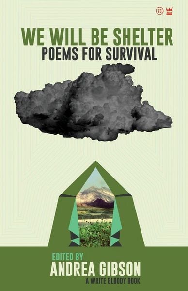 Produktbild: We Will Be Shelter