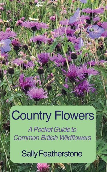 Produktbild: Country Flowers