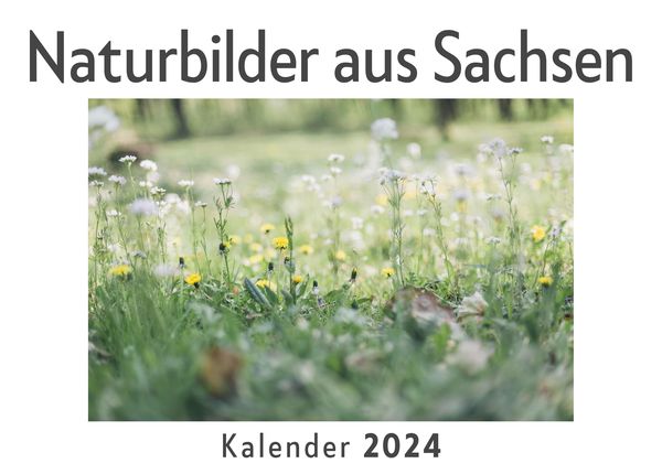 Produktbild: Naturbilder aus Sachsen (Wandkalender 2024, Kalender DIN A4 quer, Monatskalender im Querformat mit Kalendarium, Das perfekte Geschenk)