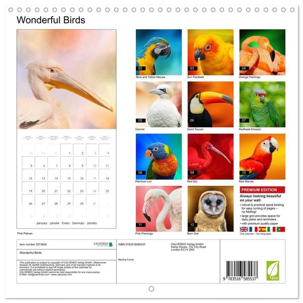 Produktbild: Wonderful Birds (Wall Calendar 2026 12 &times; 12 Inch) CALVENDO 12 Month Wall Calendar