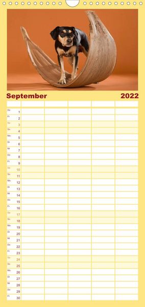 Produktbild: Familienplaner Bunte Pfoten (Wandkalender 2022 , 21 cm x 45 cm, hoch)