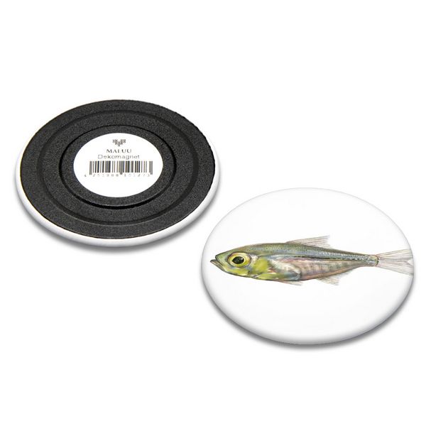 Produktbild: Dekomagnet Little Fish