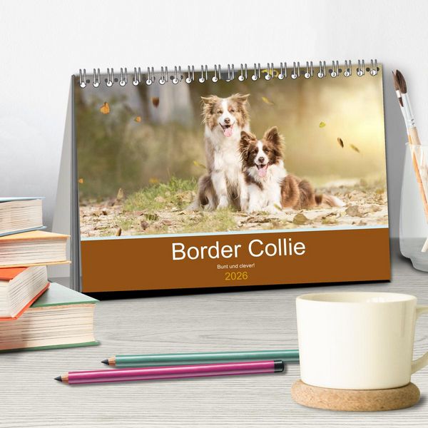 Produktbild: Border Collie - Bunt und clever! (Tischkalender 2026 DIN A5 quer), CALVENDO Monatskalender