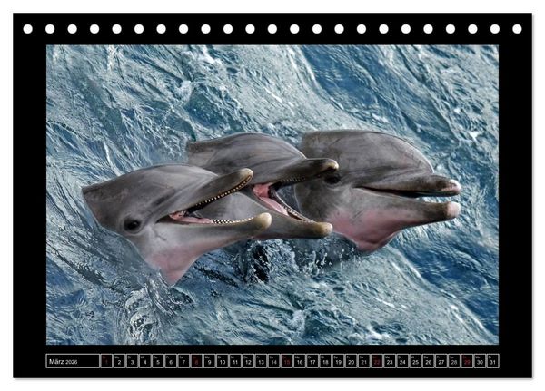 Produktbild: Wildtiere (Tischkalender 2026 DIN A5 quer), CALVENDO Monatskalender