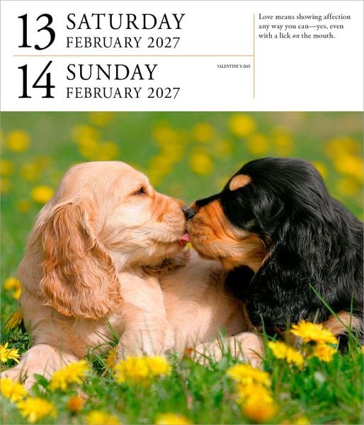 Produktbild: Dog Page-A-Day&reg; Gallery Calendar Refill Pack 2027
