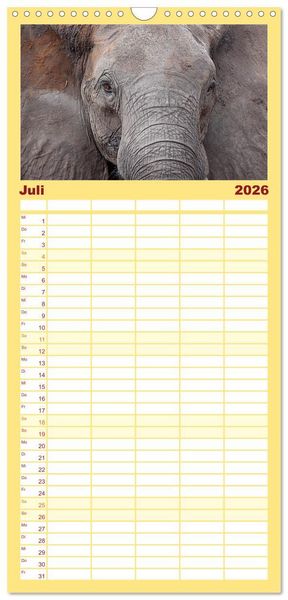 Produktbild: Familienplaner 2026 - Elefanten in Afrika mit 5 Spalten (Wandkalender, 21 x 45 cm) CALVENDO