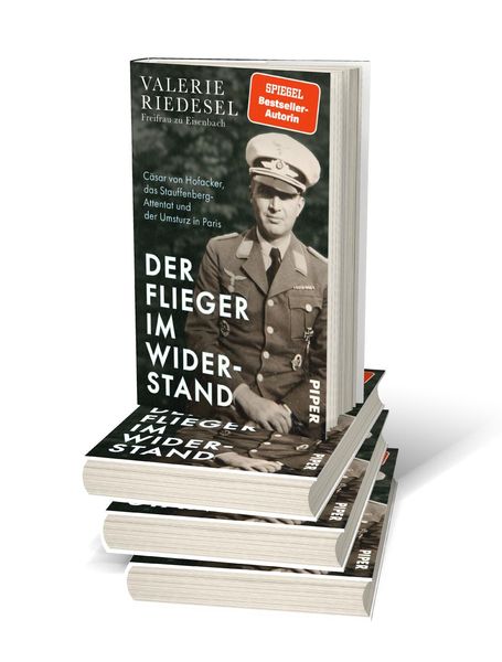Produktbild: Der Flieger im Widerstand