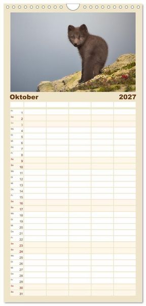 Produktbild: Familienplaner 2027 - Polarfuchs-Welpen mit 5 Spalten (Wandkalender, 21 x 45 cm) CALVENDO