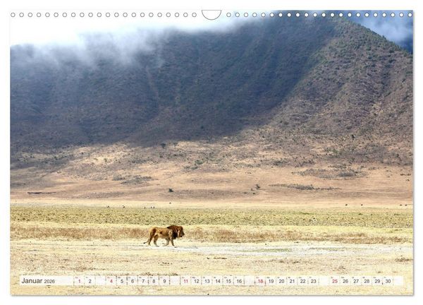 Produktbild: Tansania - Durch die Nationalparks Ostafrikas (Wandkalender 2026 DIN A3 quer), CALVENDO Monatskalender