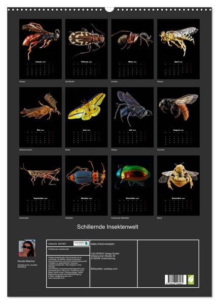 Produktbild: Schillernde Insektenwelt (Wandkalender 2026 DIN A2 hoch), CALVENDO Monatskalender
